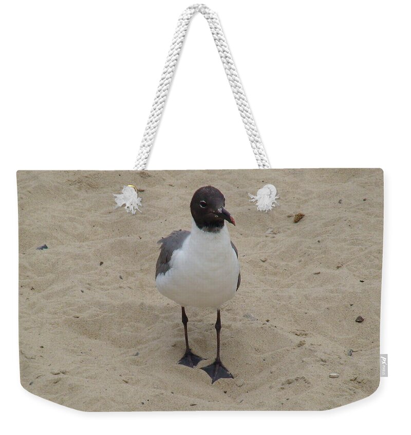 Seagull Weekender Tote Bag featuring the photograph Struttin' Seagull by Charles Kraus