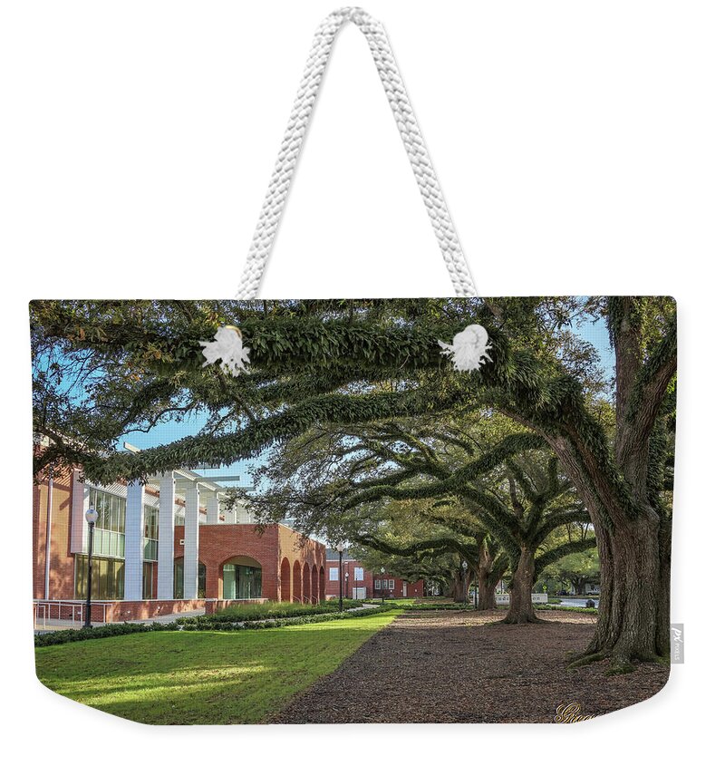 Ul Weekender Tote Bag featuring the photograph Student Union Oaks by Gregory Daley MPSA