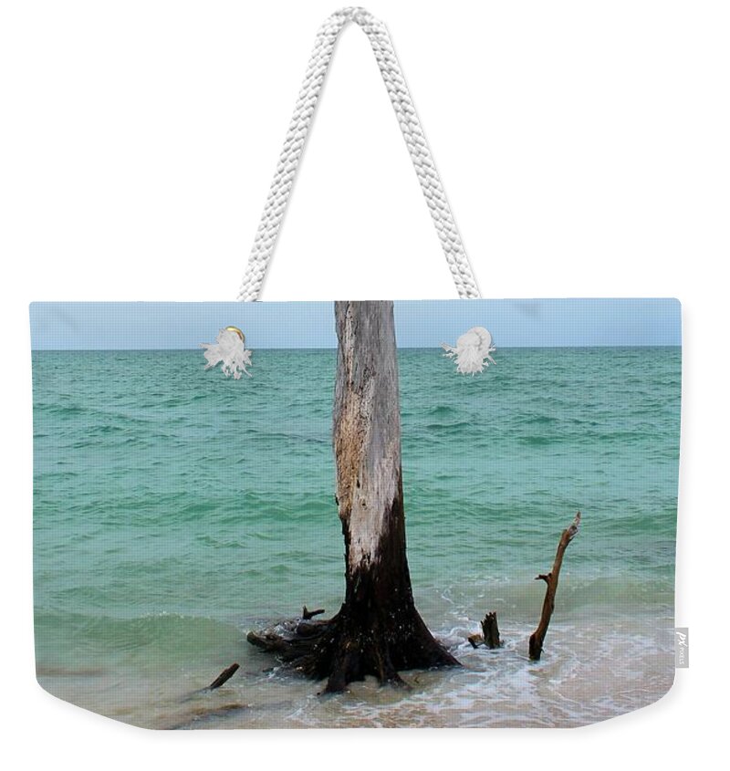 Photo For Sale Weekender Tote Bag featuring the photograph Stump Pass Tree in Color by Robert Wilder Jr
