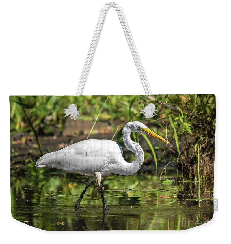 Cheryl Baxter Photography Weekender Tote Bag featuring the photograph Stunning Egret by Cheryl Baxter