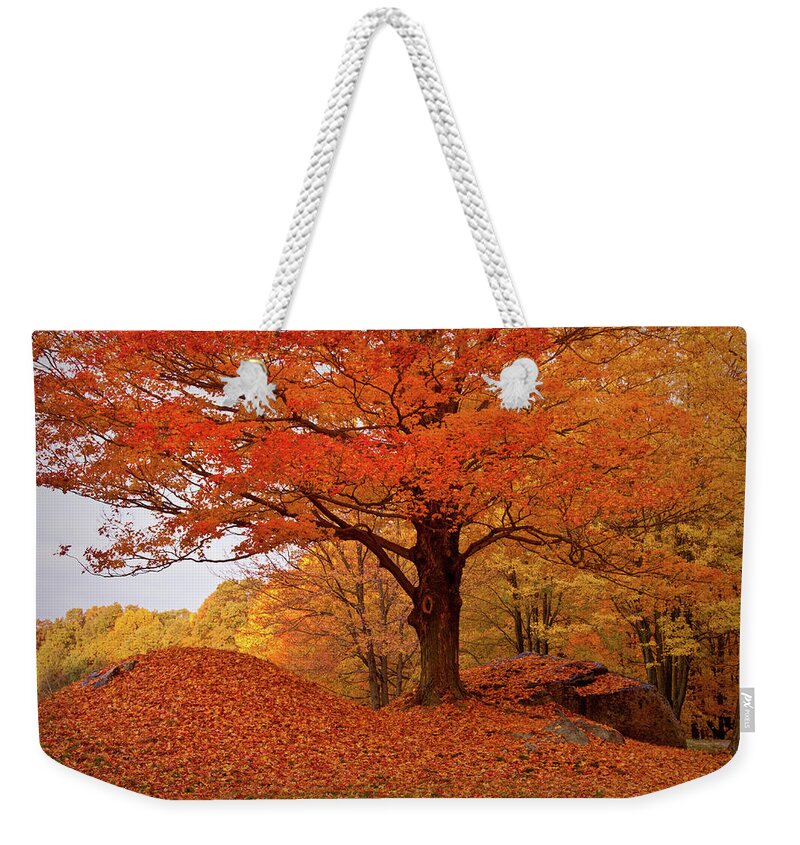 Peabody Massachusetts Weekender Tote Bag featuring the photograph Sturdy Maple in Autumn Orange by Jeff Folger