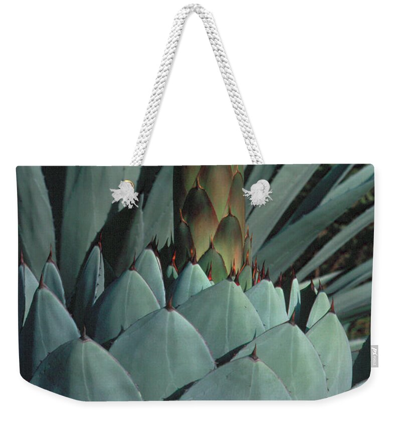 Agave Weekender Tote Bag featuring the photograph Succulent 1 by Andy Shomock