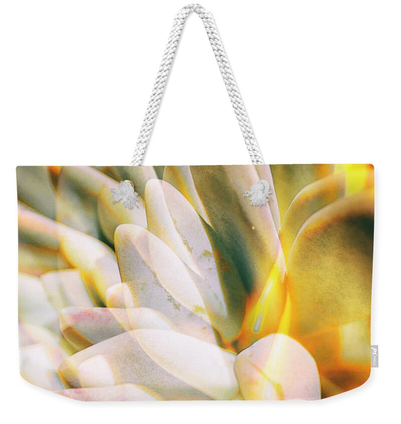 Succulents Weekender Tote Bag featuring the photograph Succulent Double Exposure by Lawrence Knutsson