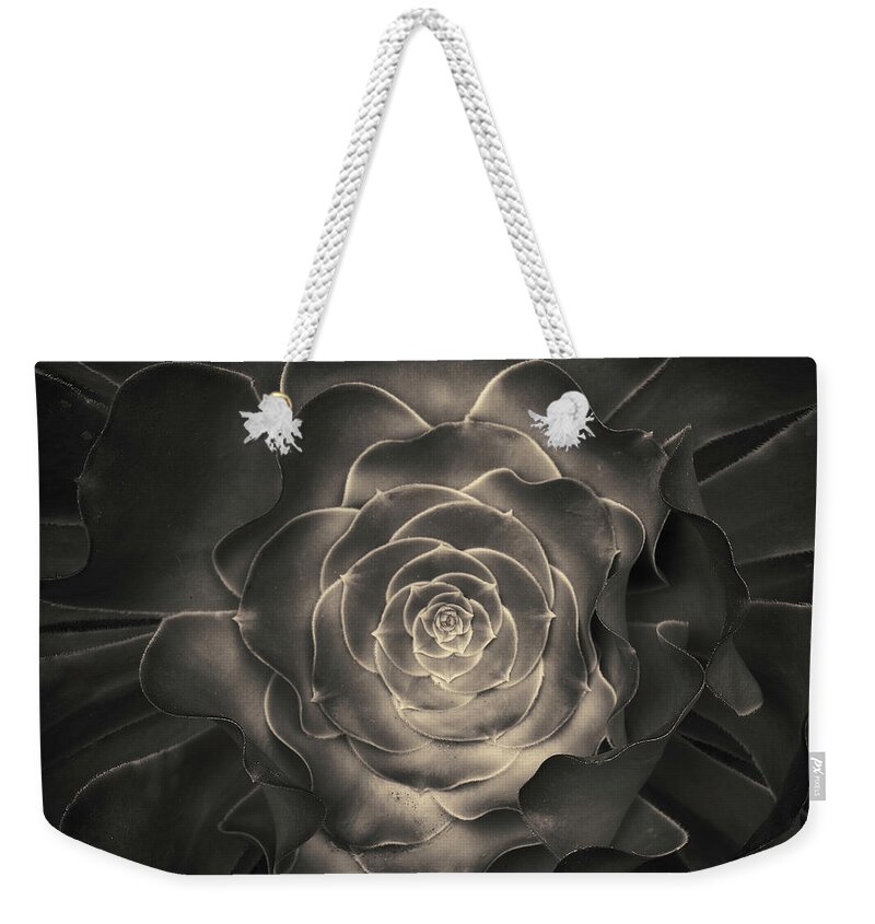 Plant Weekender Tote Bag featuring the photograph Succulent I Toned by David Gordon