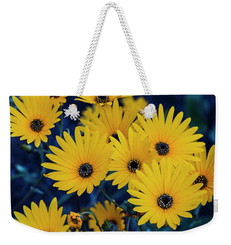 Succulent Weekender Tote Bag featuring the photograph Succulent Karoo blooming - 5 by Claudio Maioli