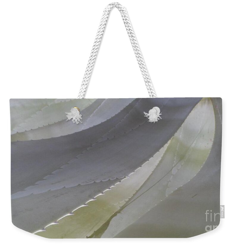Cool Color Shape Flowing Succulent Weekender Tote Bag featuring the photograph Succulent Series 1-1 by J Doyne Miller