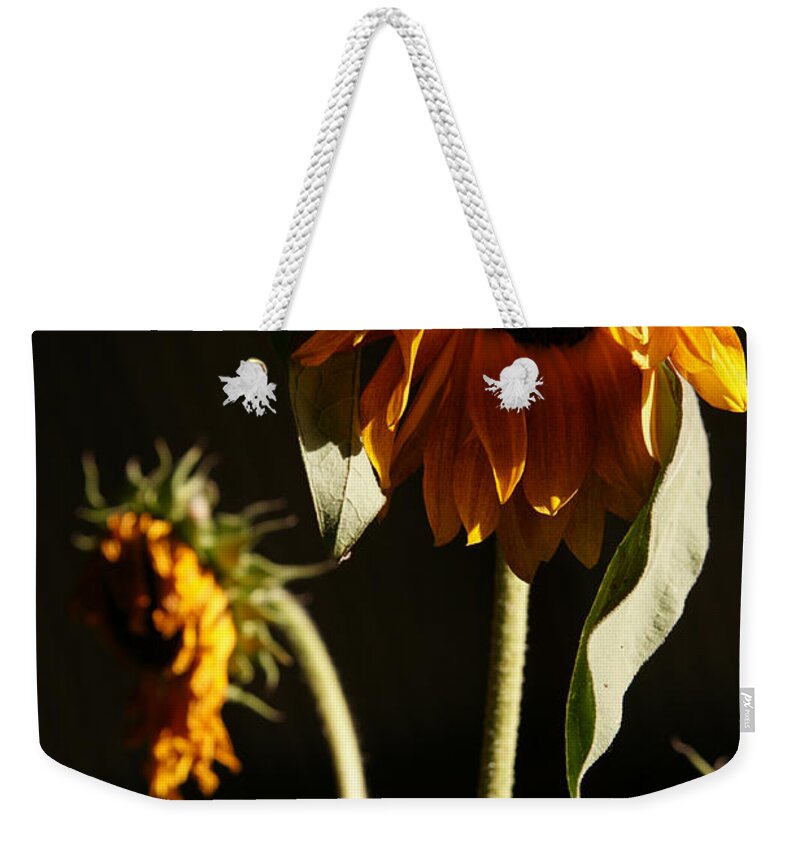 Summer Weekender Tote Bag featuring the photograph Summer and the Beat of Your Heart by Linda Shafer