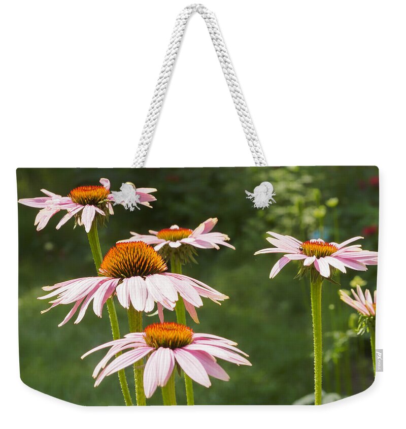 Purple Coneflower Weekender Tote Bag featuring the photograph Summer Echinacea I by Marianne Campolongo
