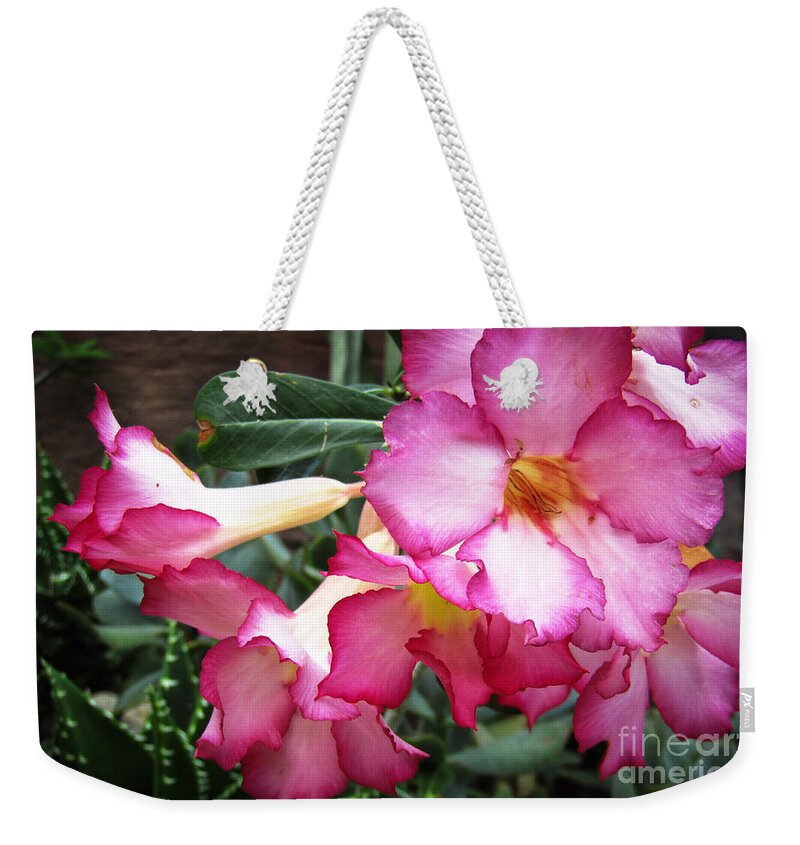 Flowers Weekender Tote Bag featuring the photograph Summer Forever by Robert Knight