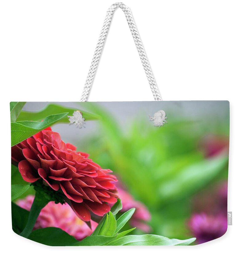 Flower Weekender Tote Bag featuring the photograph Summer Garden by Elsa Santoro
