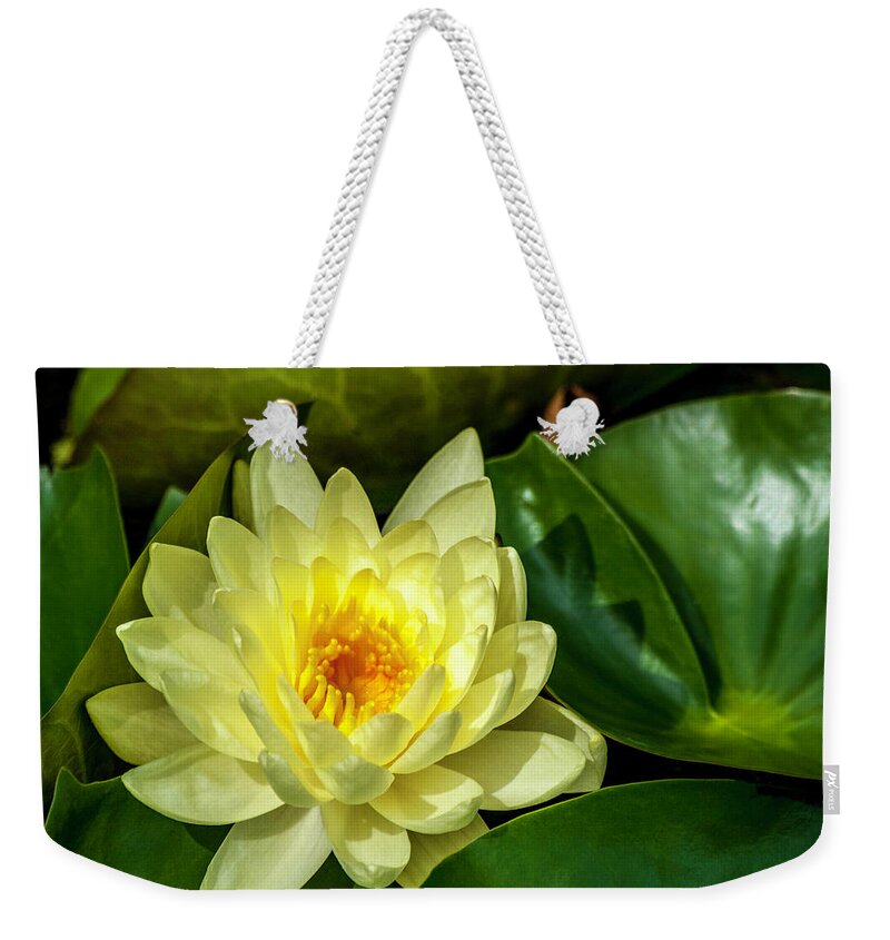 New Weekender Tote Bag featuring the photograph Summer Gold 2 by Ken Frischkorn