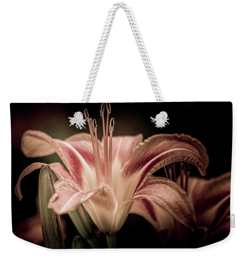 Lily Weekender Tote Bag featuring the photograph Summer Lily by Allin Sorenson