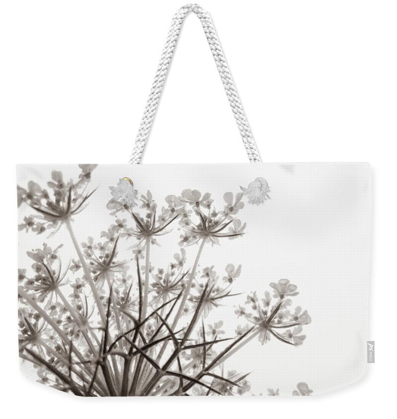 Queen Anne's Lace Weekender Tote Bag featuring the photograph Summer Snow II by Holly Ross