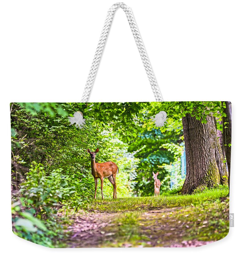 Summer Weekender Tote Bag featuring the photograph Summer Stroll by Anthony Baatz