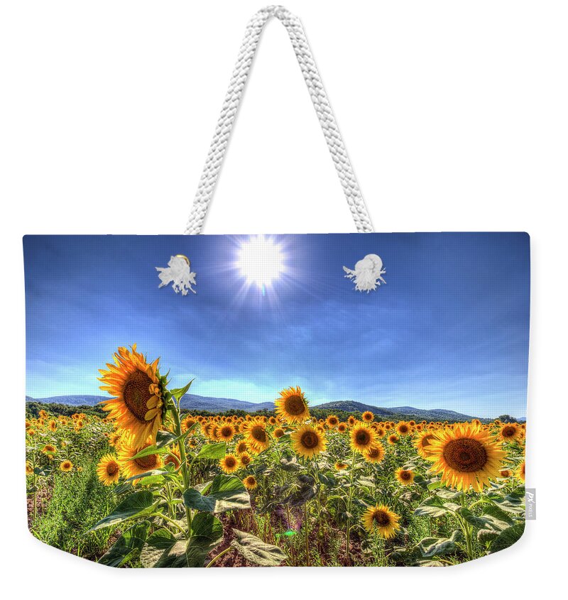 Sunflowers Weekender Tote Bag featuring the photograph Summer Sunflowers by David Pyatt