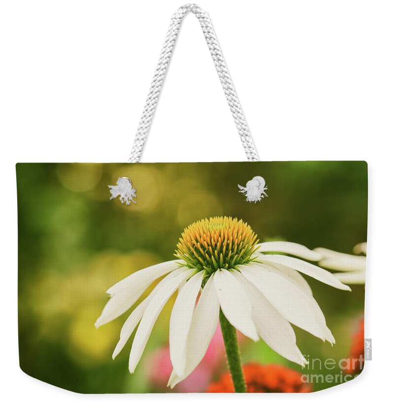 Coneflower White Swan Weekender Tote Bag featuring the photograph Summer Sunshine by Anita Pollak