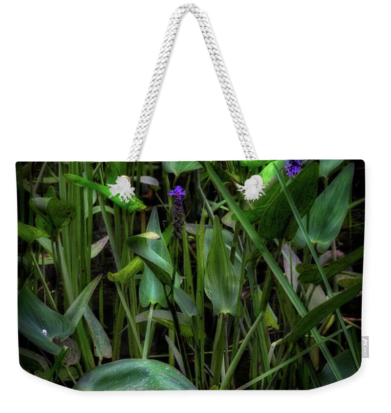 Water Lily Weekender Tote Bag featuring the photograph Summer Swamp 2017 by Bill Wakeley