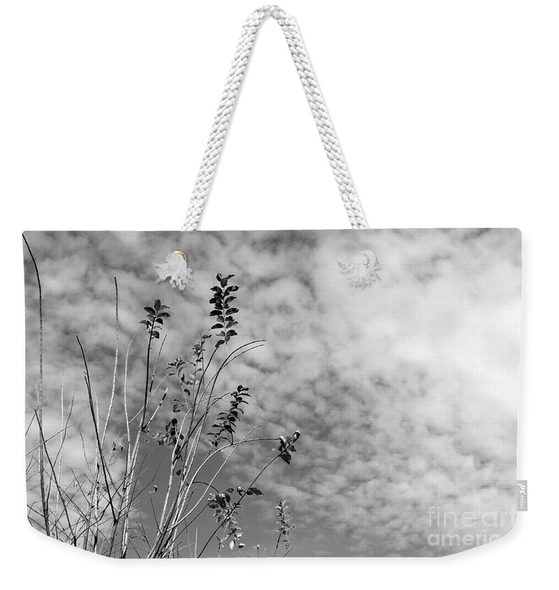 Photo For Sale Weekender Tote Bag featuring the photograph Summer's End by Robert Wilder Jr