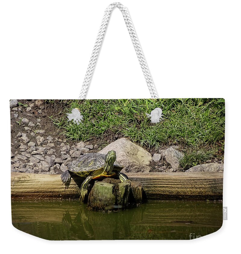 Photoshop Weekender Tote Bag featuring the photograph Sun Bathing by Melissa Messick
