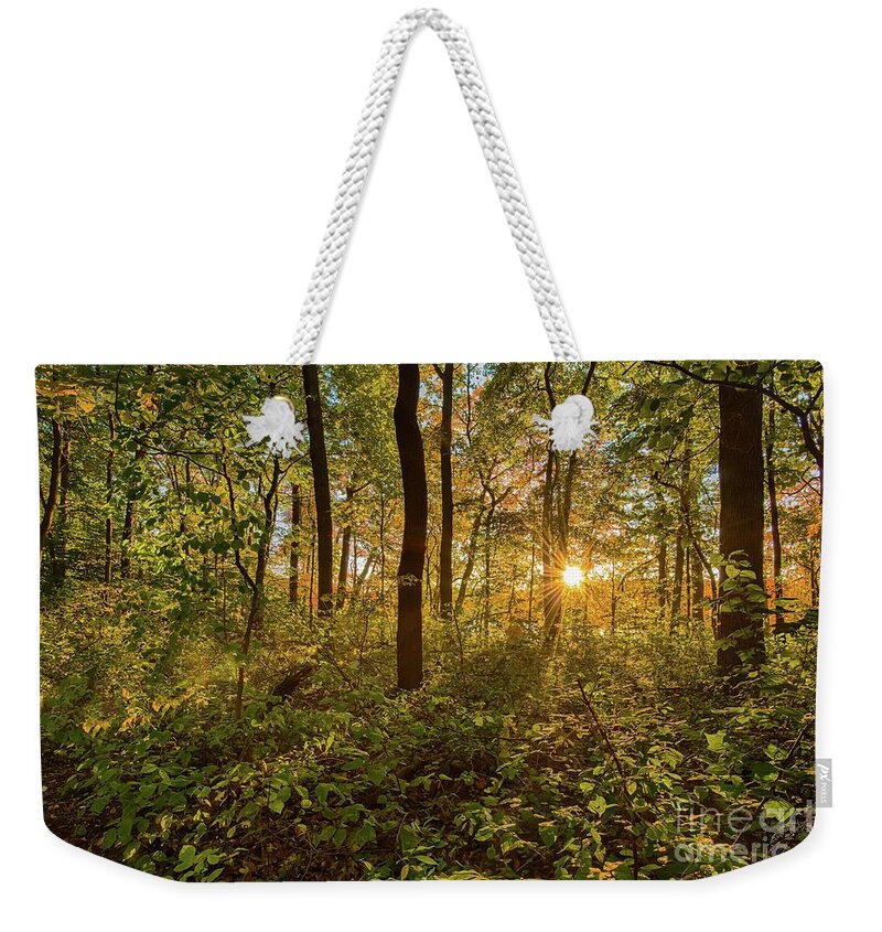 Trees Weekender Tote Bag featuring the photograph Sun Burst by Alissa Beth Photography