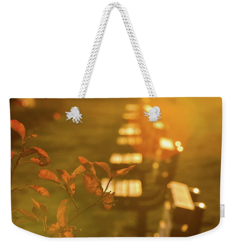 Bench Weekender Tote Bag featuring the photograph Sun Drenched Bench by Darryl Hendricks