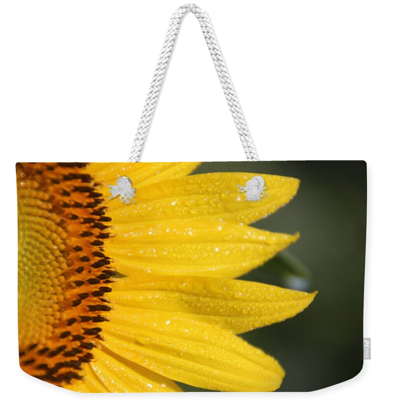 Sun Weekender Tote Bag featuring the photograph Sun East by Carolyn Stagger Cokley