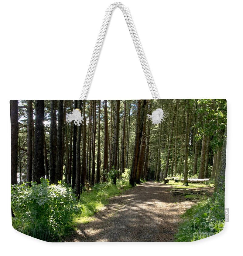 Beecraigs Weekender Tote Bag featuring the photograph Sun in the forest. by Elena Perelman