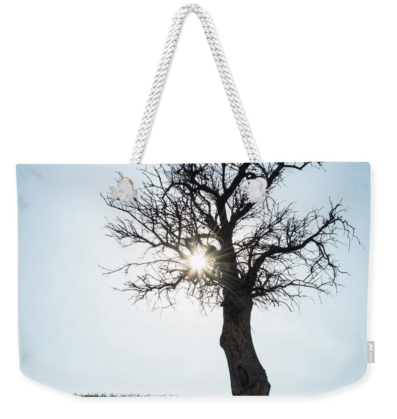 Inspiration Weekender Tote Bag featuring the photograph Sun rays and bare lonely tree by Michalakis Ppalis