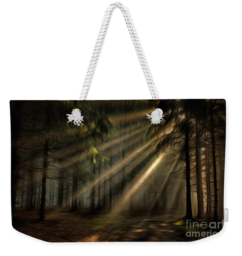 Chiaroscuro Weekender Tote Bag featuring the photograph Sun rays in the forest by Michal Boubin
