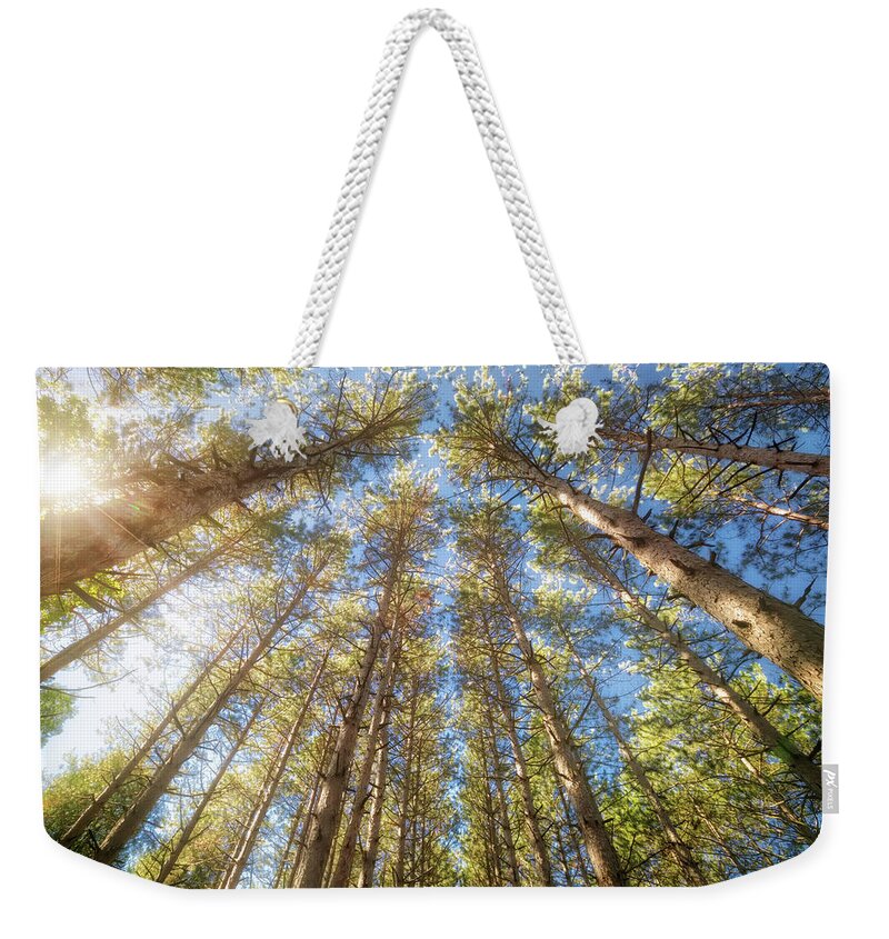 Wisconsin Landscape Weekender Tote Bag featuring the photograph Sun Shining Through Treetops - Retzer Nature Center by Jennifer Rondinelli Reilly - Fine Art Photography