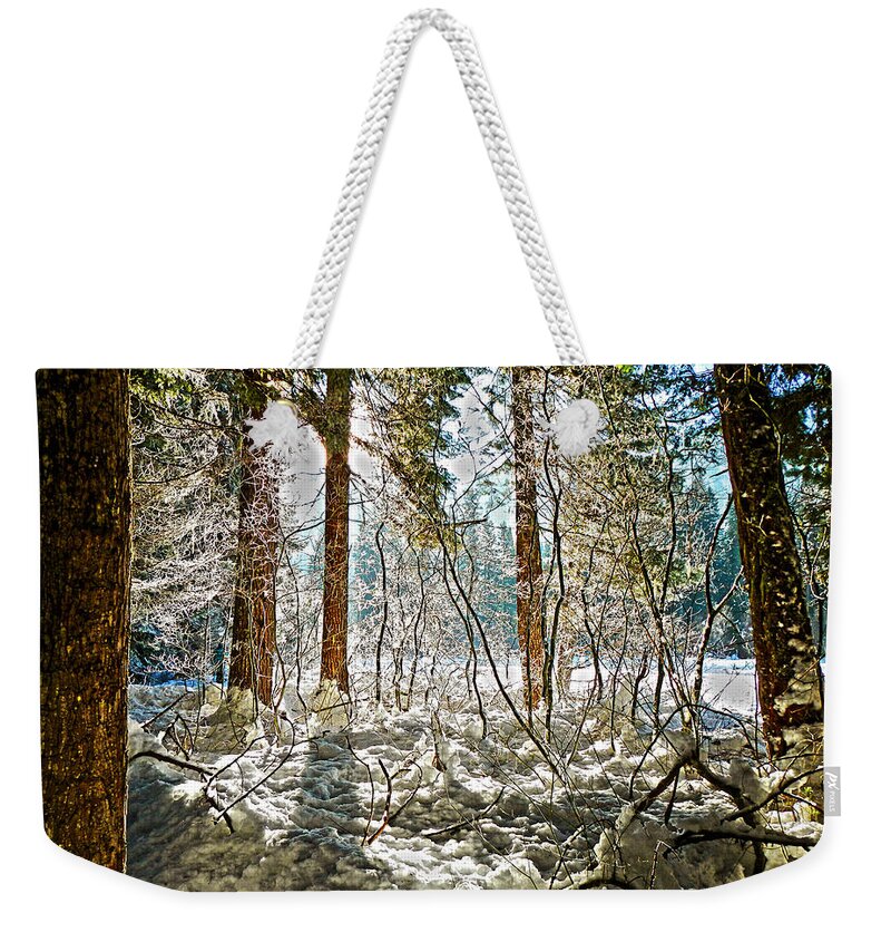 Tree Weekender Tote Bag featuring the photograph Sun Shinning Through Trees by Pelo Blanco Photo