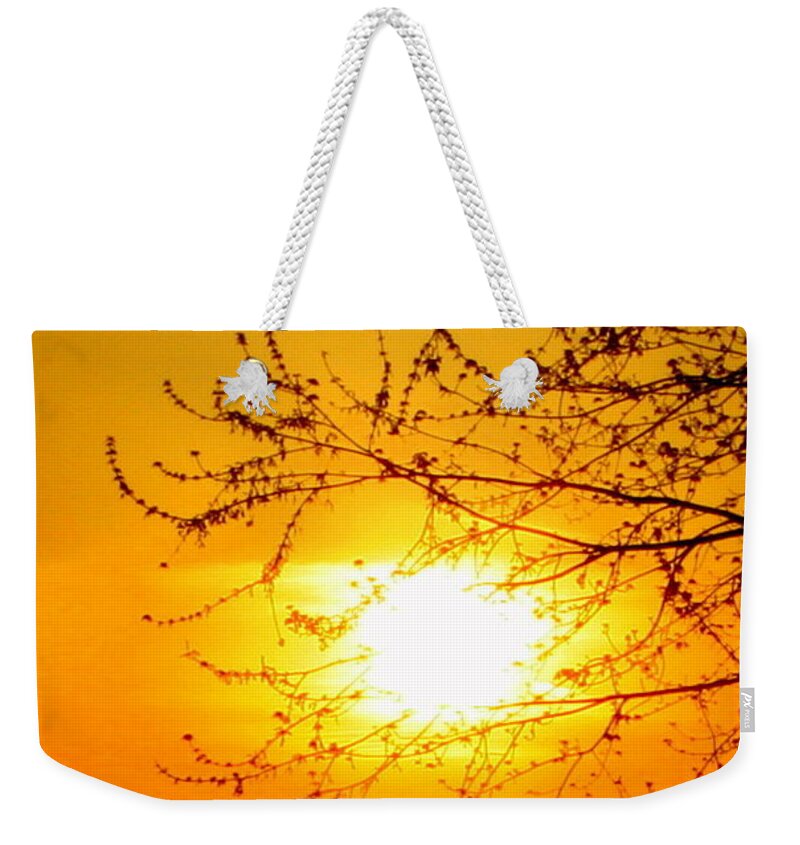 Sun Weekender Tote Bag featuring the photograph Sun Sweet by Julie Lueders 