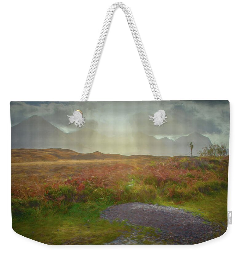 Sunbeams Weekender Tote Bag featuring the photograph Sunbeams painterly #g9 by Leif Sohlman