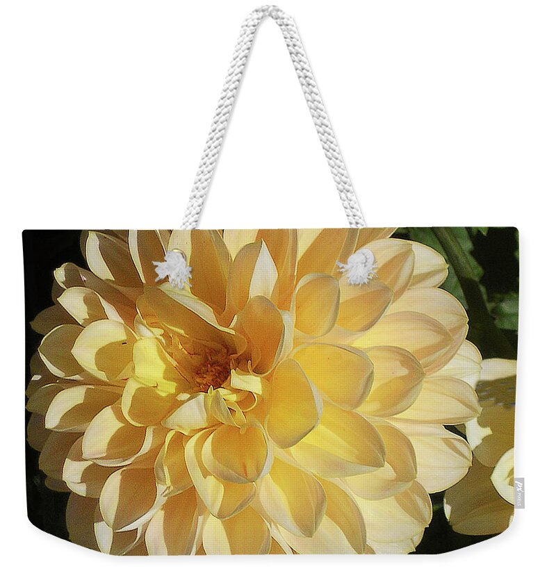 Flower Weekender Tote Bag featuring the photograph Sunburst by Joyce Creswell