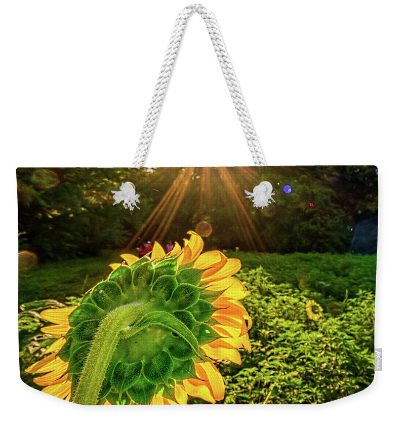 Sunflowers Weekender Tote Bag featuring the photograph Sunburst over sunflower by Izet Kapetanovic