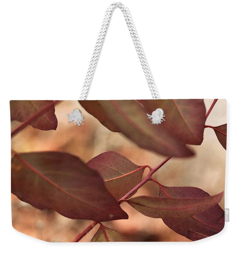 Eucalyptus Weekender Tote Bag featuring the photograph Sunday by Amy Neal