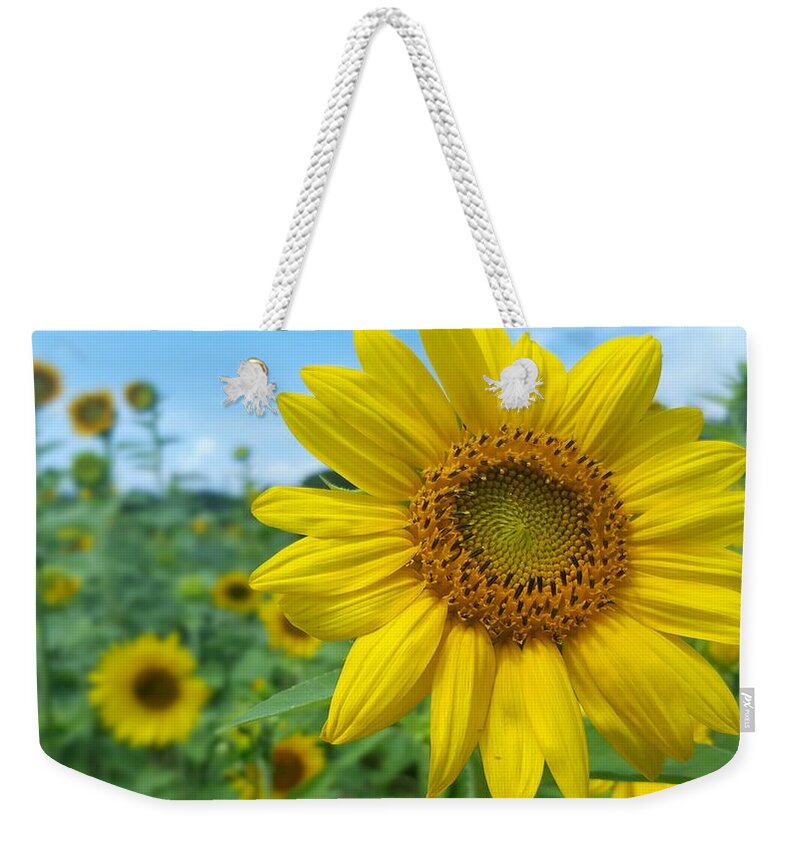 Sunflower Weekender Tote Bag featuring the photograph Sunflower 4 by Stacy Abbott