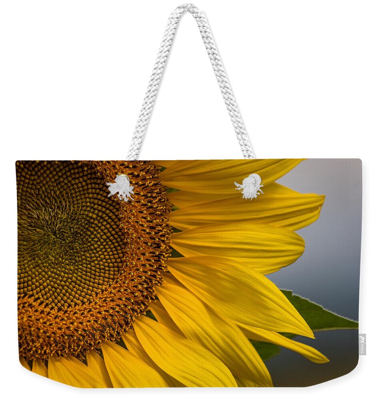 Sunflower Abstract Weekender Tote Bag featuring the photograph Sunflower Abstract by Dale Kincaid