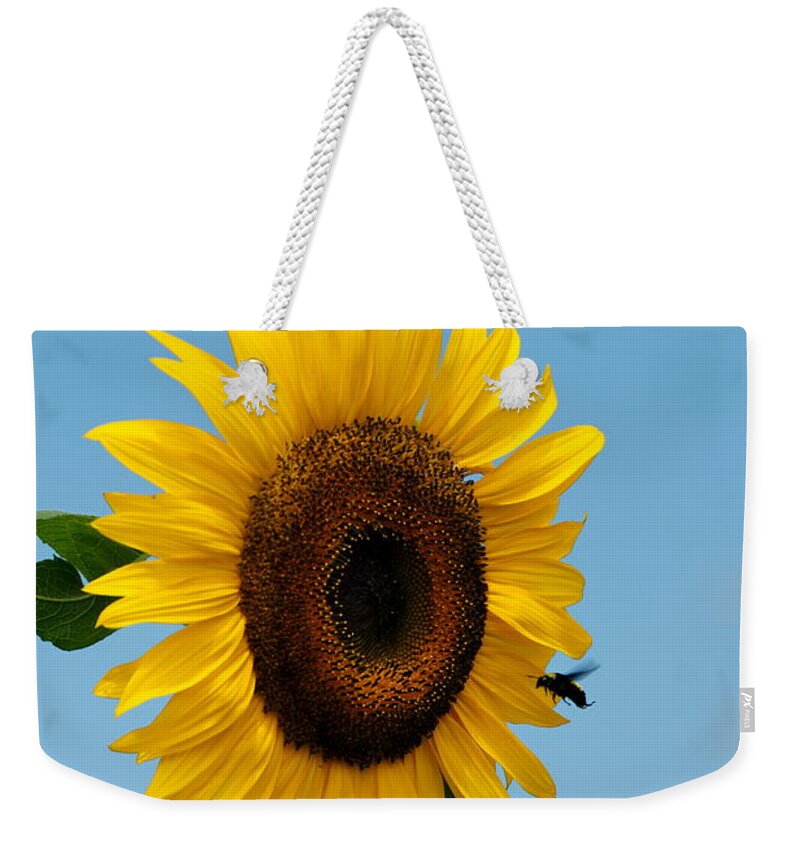 Bee Weekender Tote Bag featuring the photograph Sunflower and Bee by Alan Hutchins