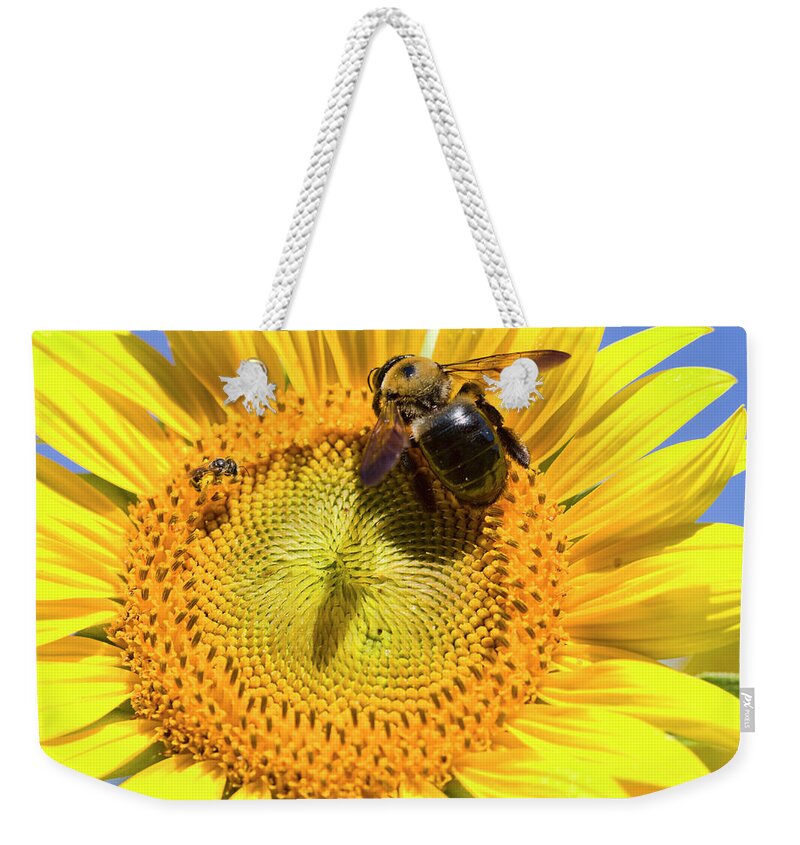 Sunflower Weekender Tote Bag featuring the photograph Sunflower and Bumble Bee Macro by Kathy Clark