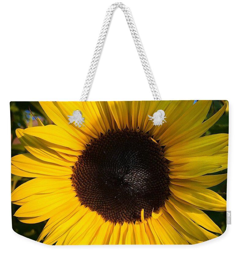 Sunflower Weekender Tote Bag featuring the photograph Sunflower by Brian Eberly