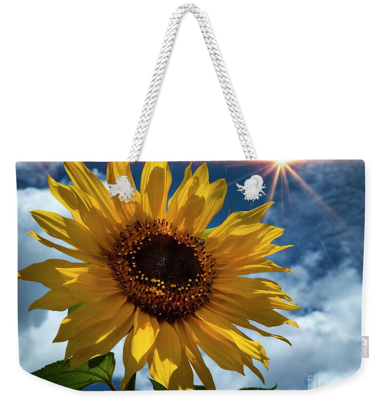 Sunflower Weekender Tote Bag featuring the photograph Sunflower Brilliance II by Al Bourassa