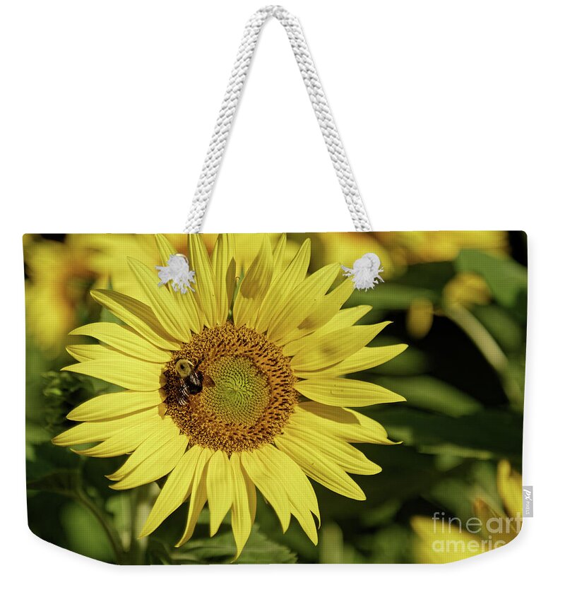 Sunflower Weekender Tote Bag featuring the photograph Sunflower Bumble by Natural Focal Point Photography