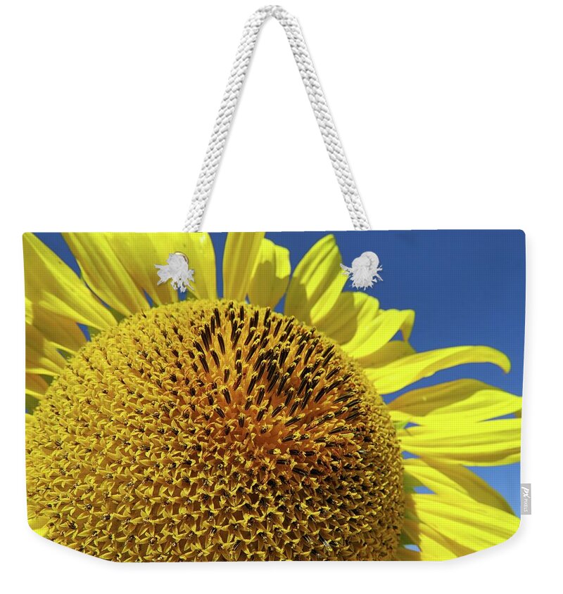 Sunflower Weekender Tote Bag featuring the photograph Sunflower Close-up by Connor Beekman
