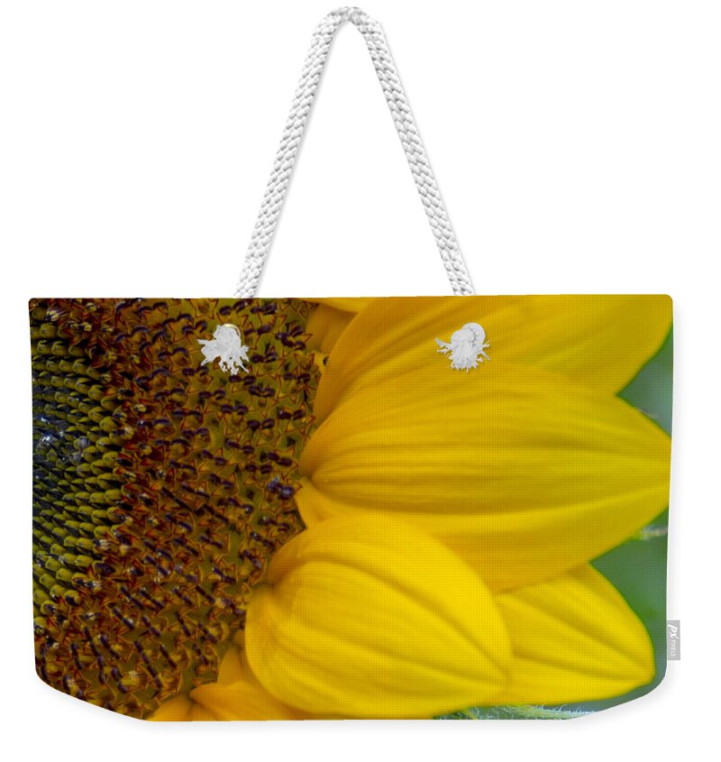 Flower Weekender Tote Bag featuring the photograph Sunflower Closeup by Allen Nice-Webb