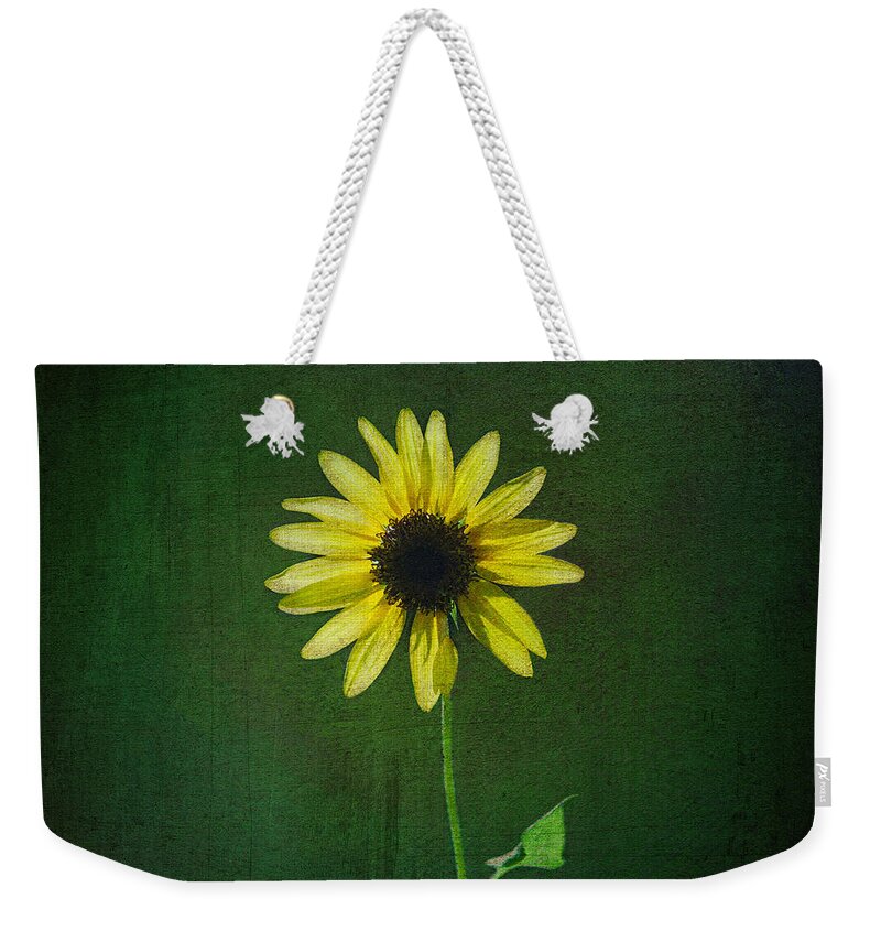 Sunflower Weekender Tote Bag featuring the photograph Sunflower by Diane Macdonald