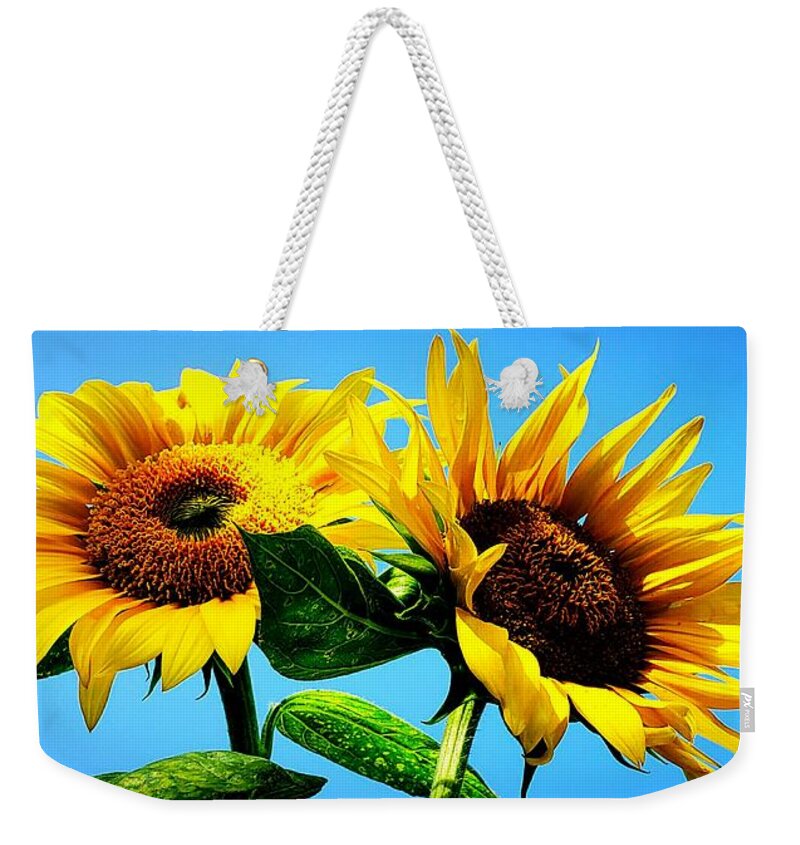 Floral Weekender Tote Bag featuring the photograph Sunflower Duo by Alexis King-Glandon
