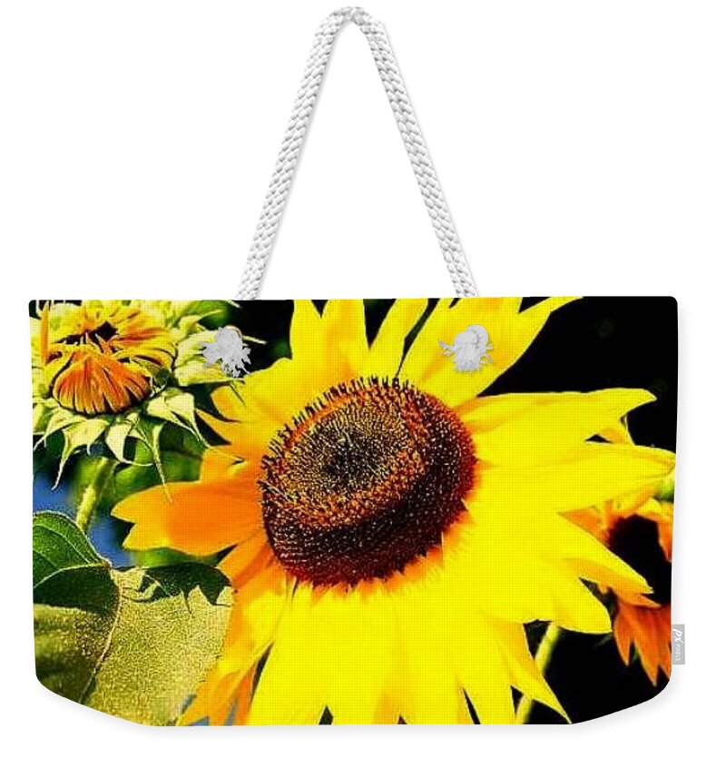  Weekender Tote Bag featuring the photograph Sunflower by FD Graham