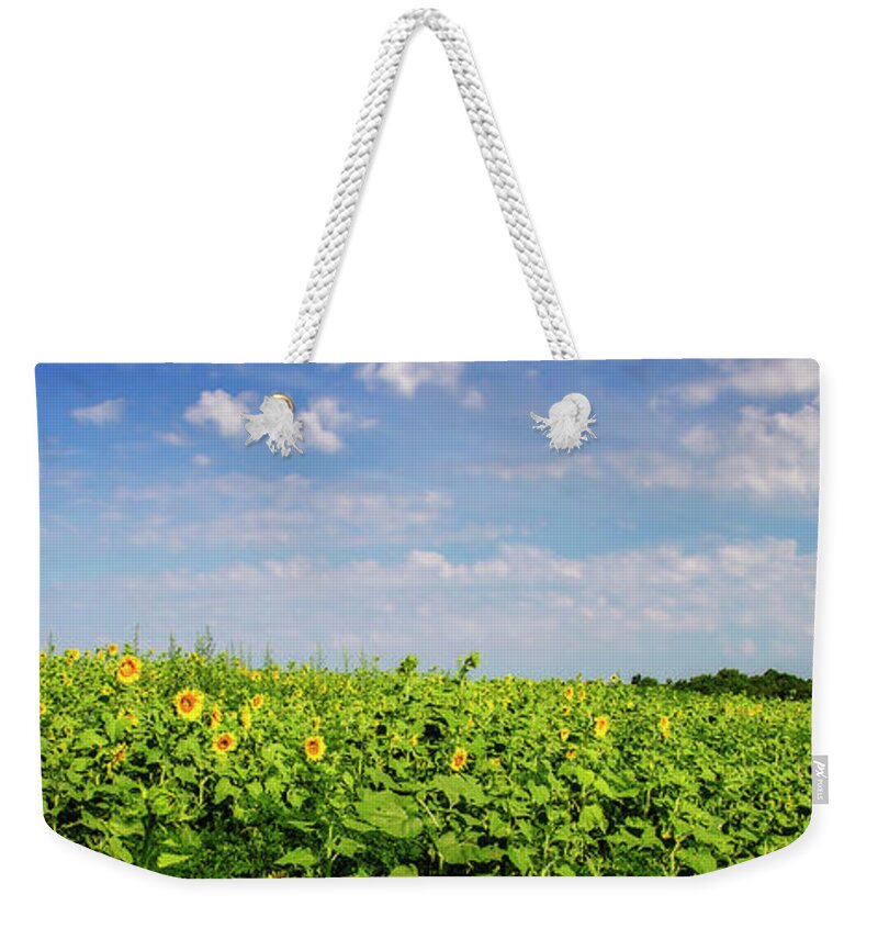 Color Weekender Tote Bag featuring the photograph Sunflower Fields -1 by Alan Hausenflock