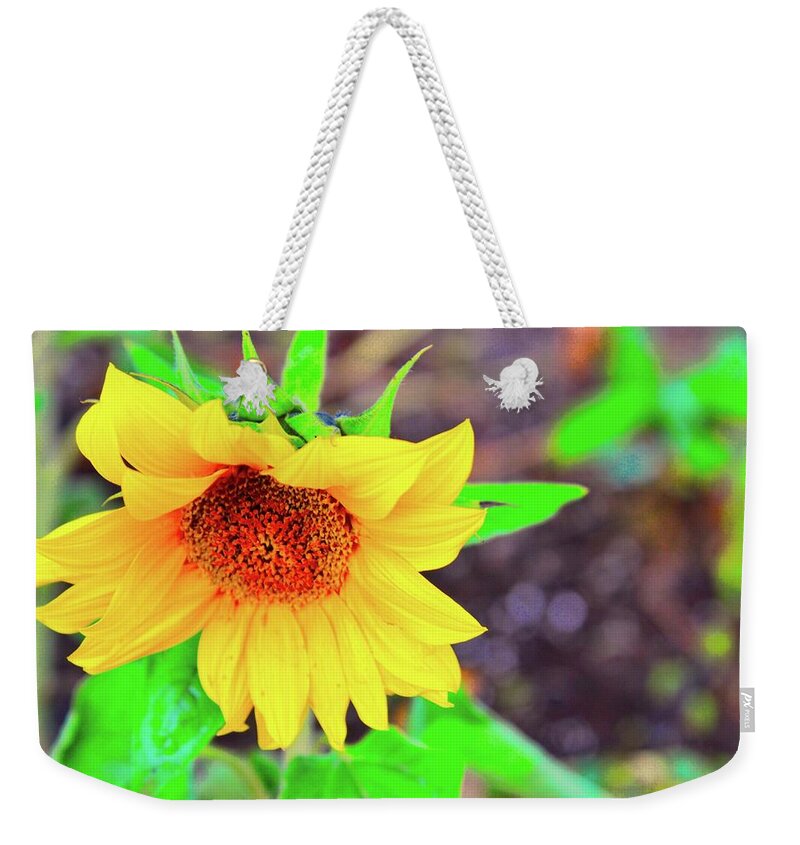 Flower Weekender Tote Bag featuring the photograph Sunflower For Sue by Joe Burns